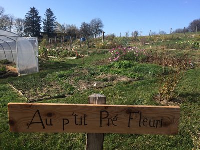 Au ptit pré fleuri (2)