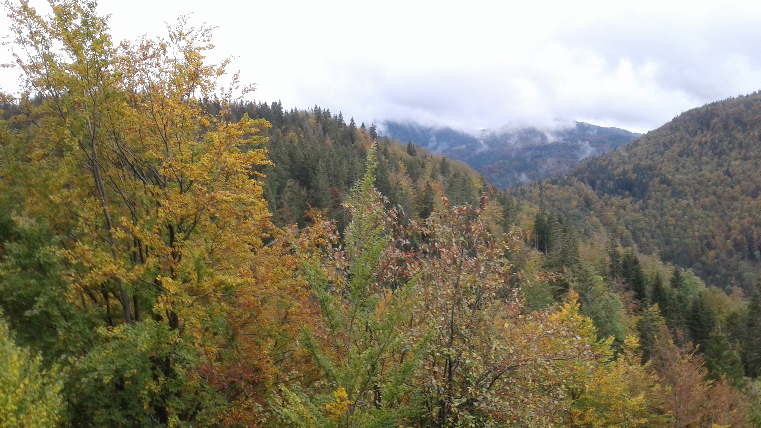 En allant à la Roche brûlée