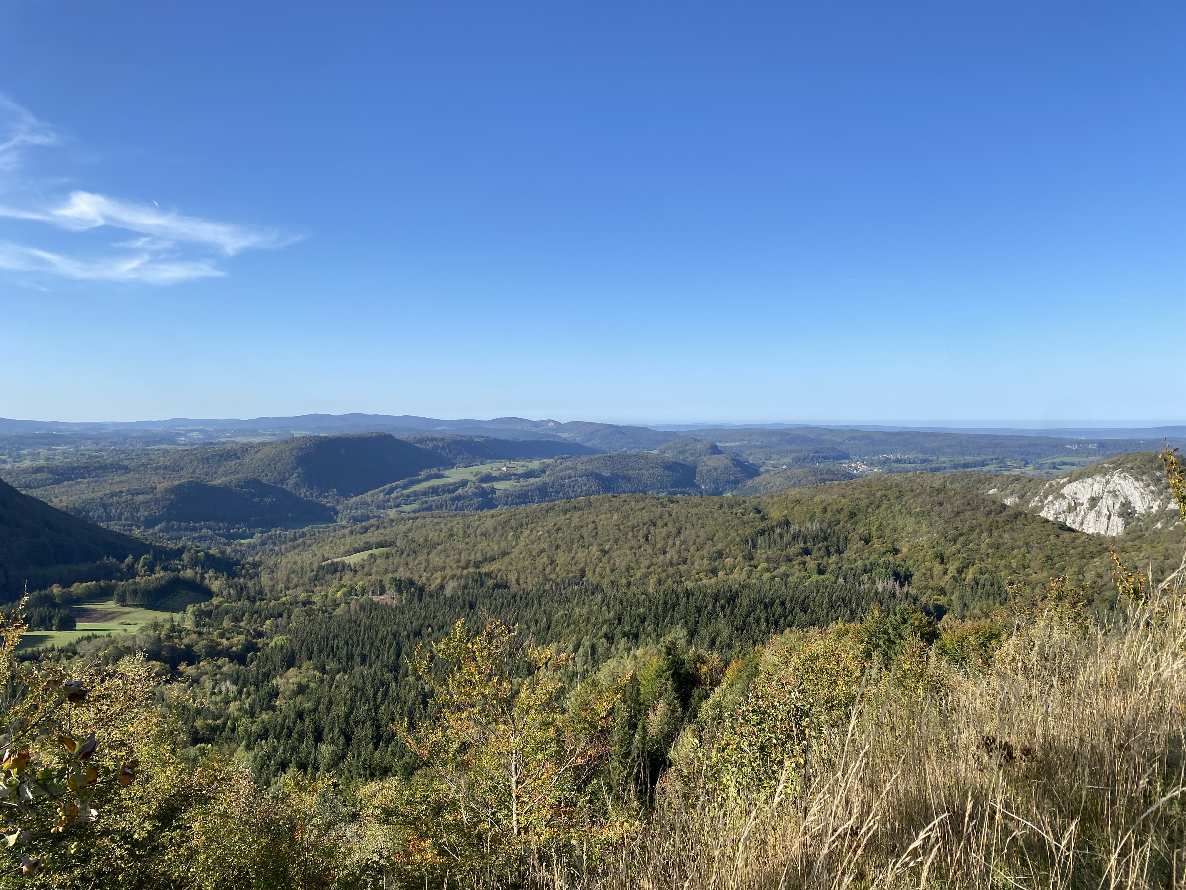 belvederedesarboux_foncinelehaut_automne_2023_©CNJ (1)