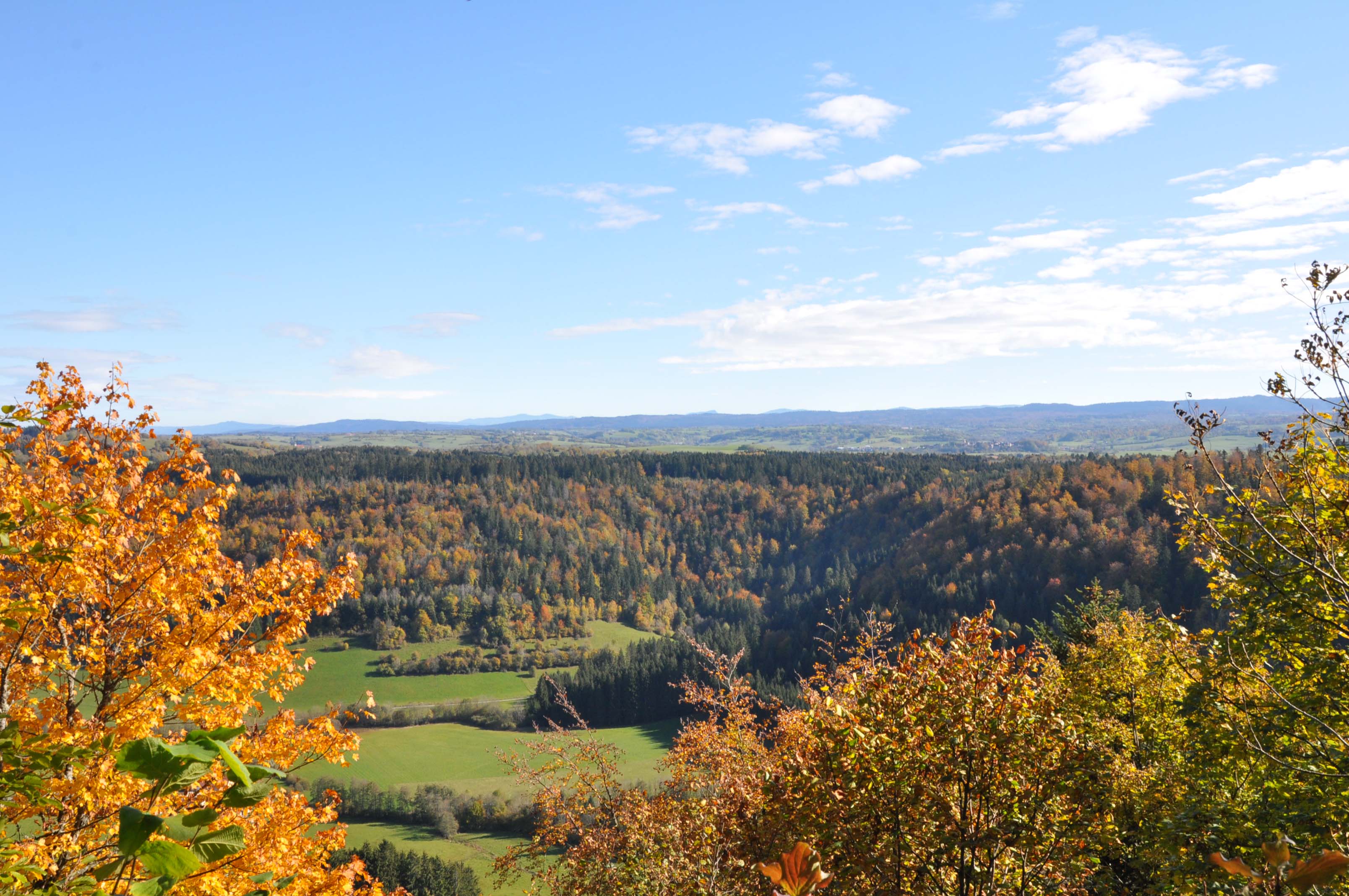 belvederedusignal_lesnans_automne_©CNJ_10.2011 (4)