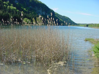 BELVÉDÈRE SUR LES LACS D'ÉTIVAL_1