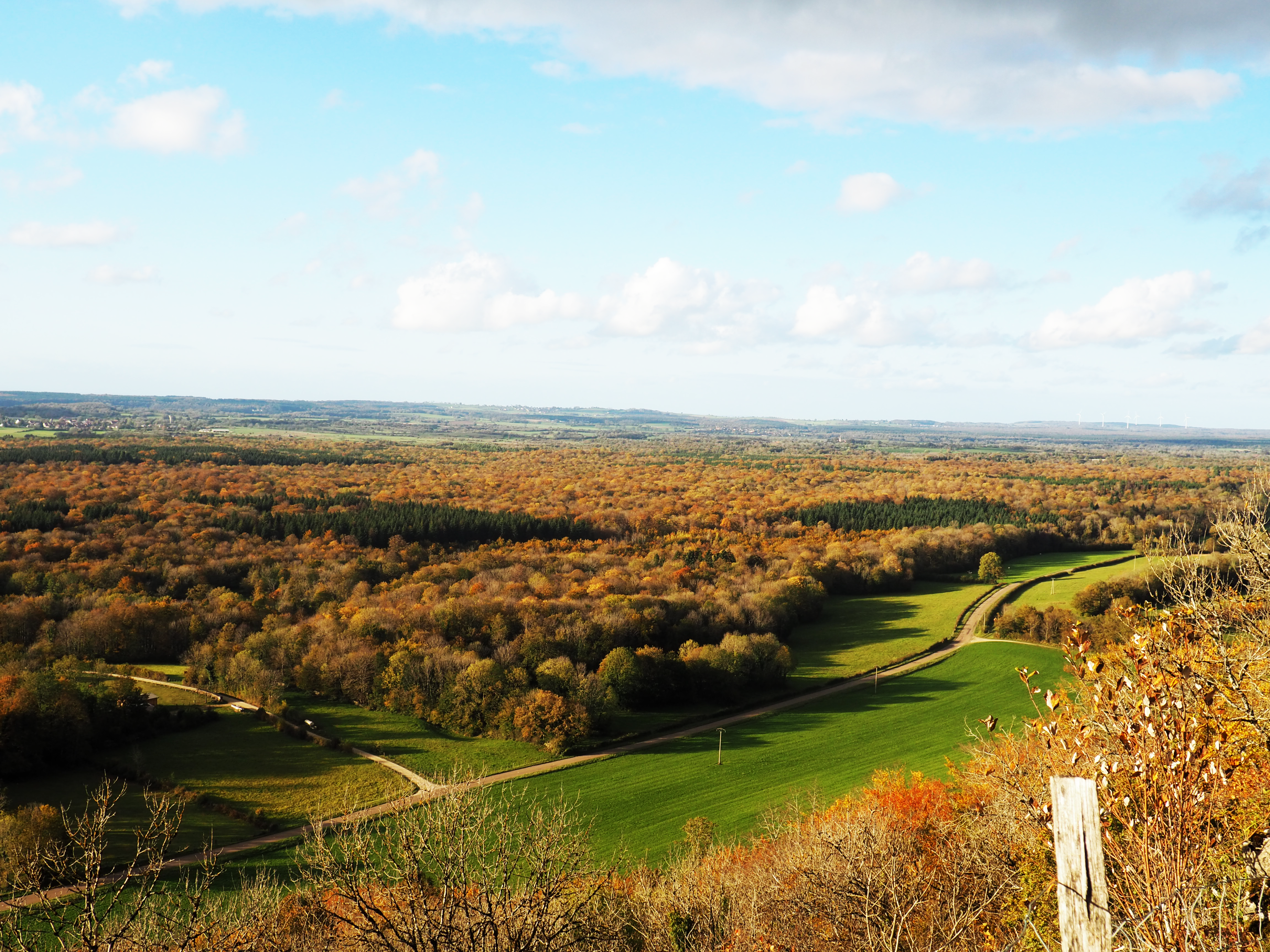 forêt automne mirebel