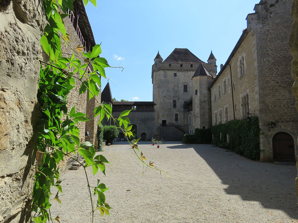 CHÂTEAU DU PIN_4