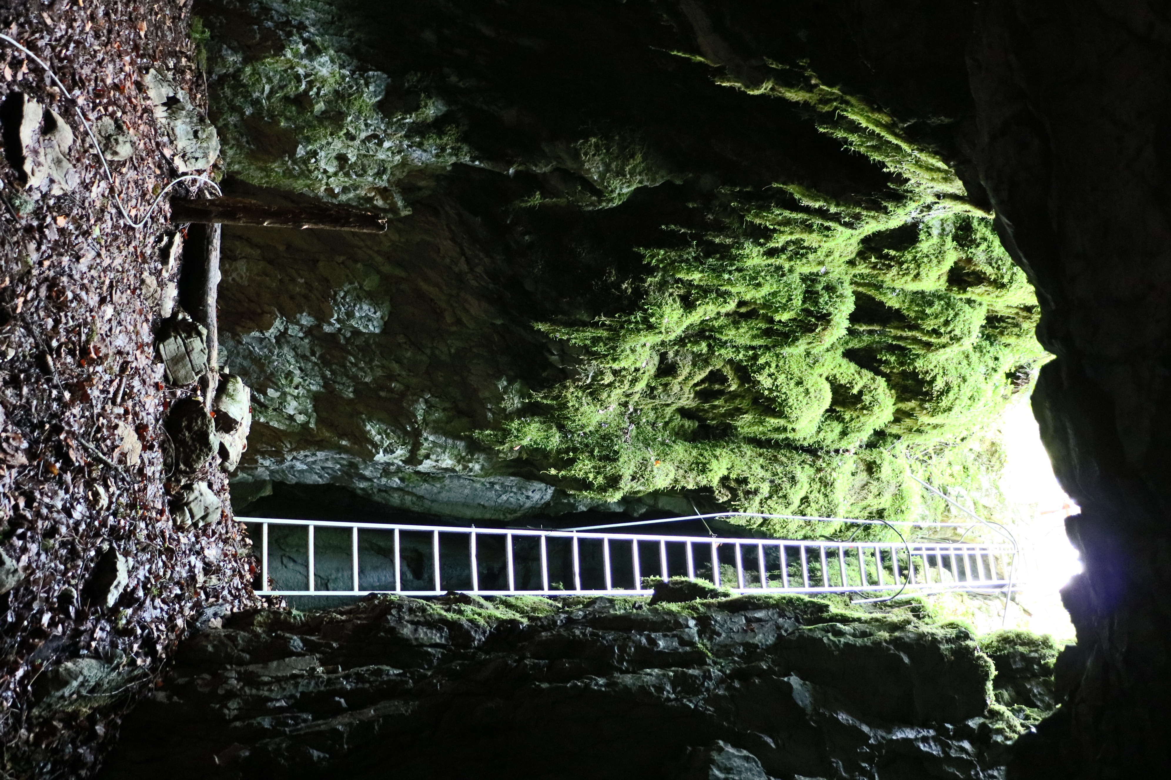 creuxmaldru_grotte_foncinelehaut_ete_2018_©CNJ (20)