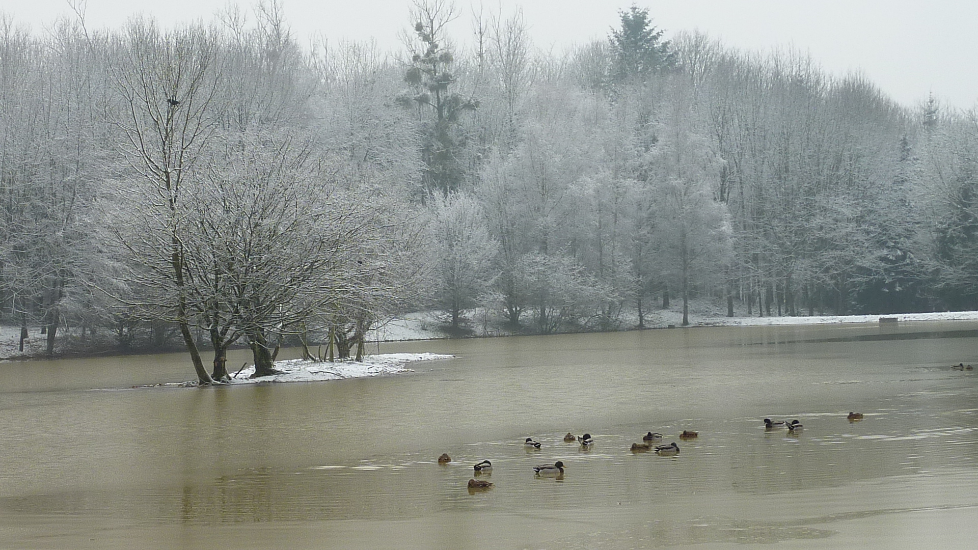 ETANG DE FOUCHERANS_2