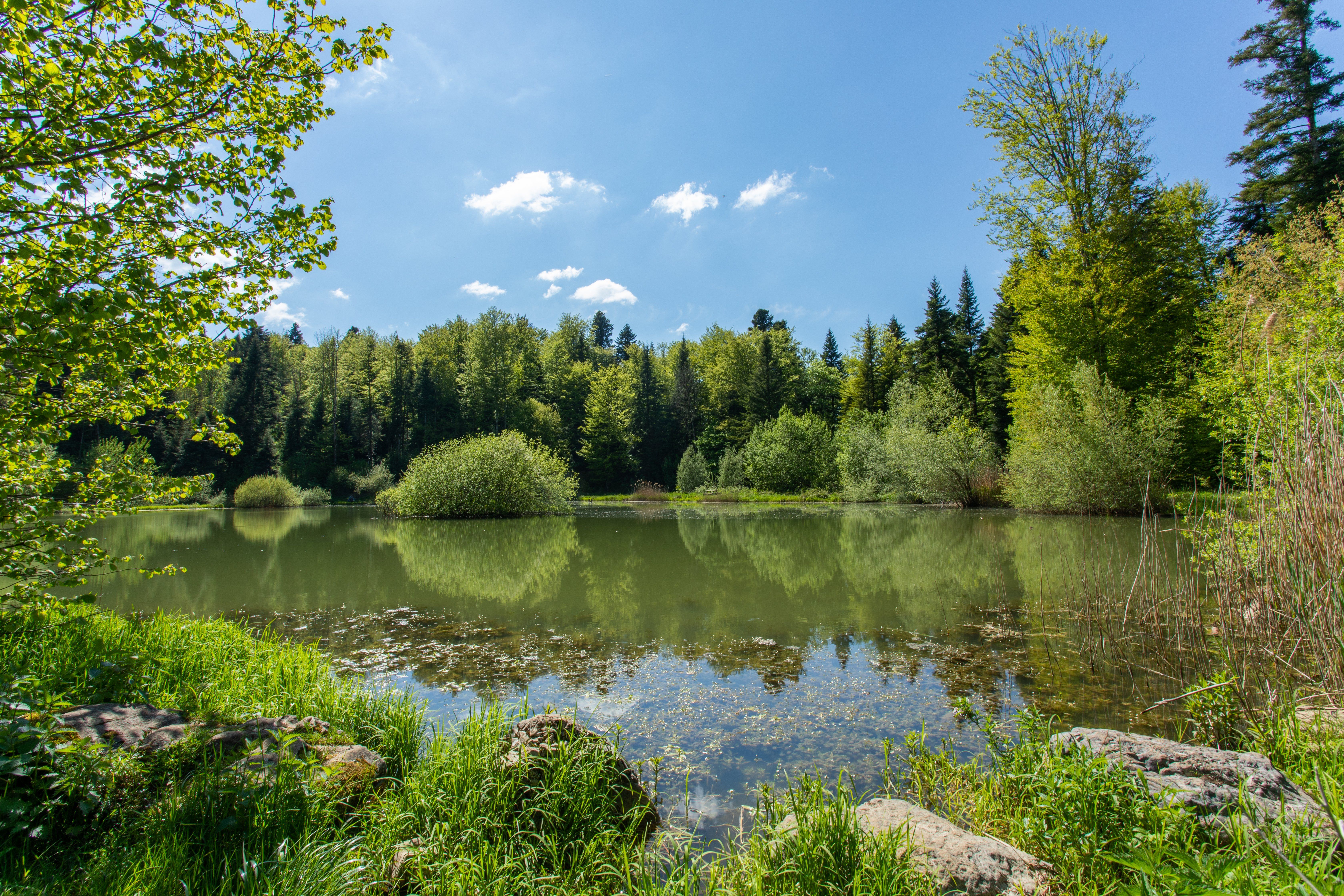 étangdesperchettes_chauxdescrotenay_©Loïc_Aubert (1)