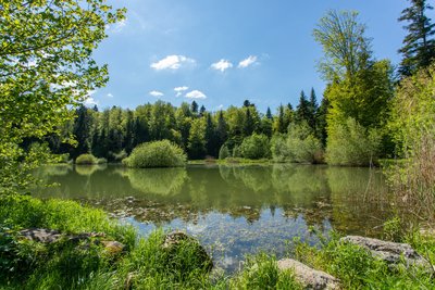 étangdesperchettes_chauxdescrotenay_©Loïc_Aubert (1)