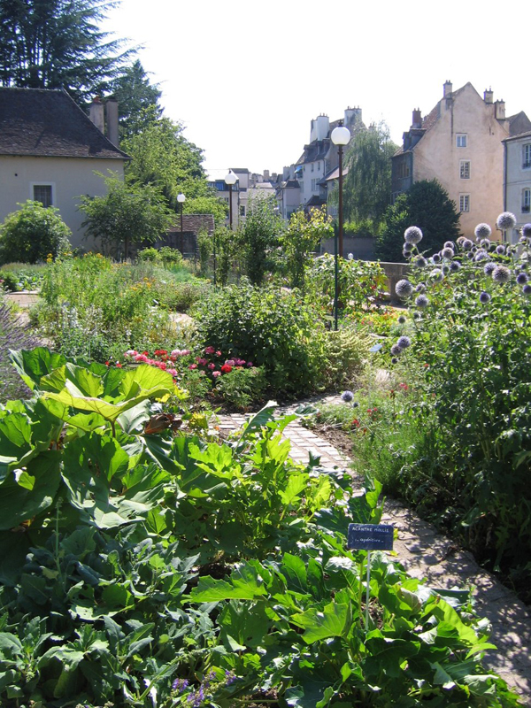 JARDIN DES CHEVANNES_1