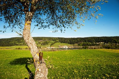 Le Lac de l'abbaye à Grande-Rivière, Haut-Jura