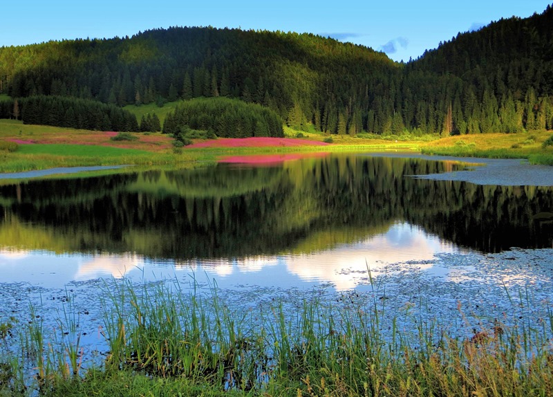 LAC DE L'EMBOUTEILLEUX_1