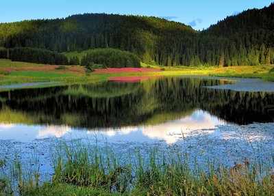 LAC DE L'EMBOUTEILLEUX_1