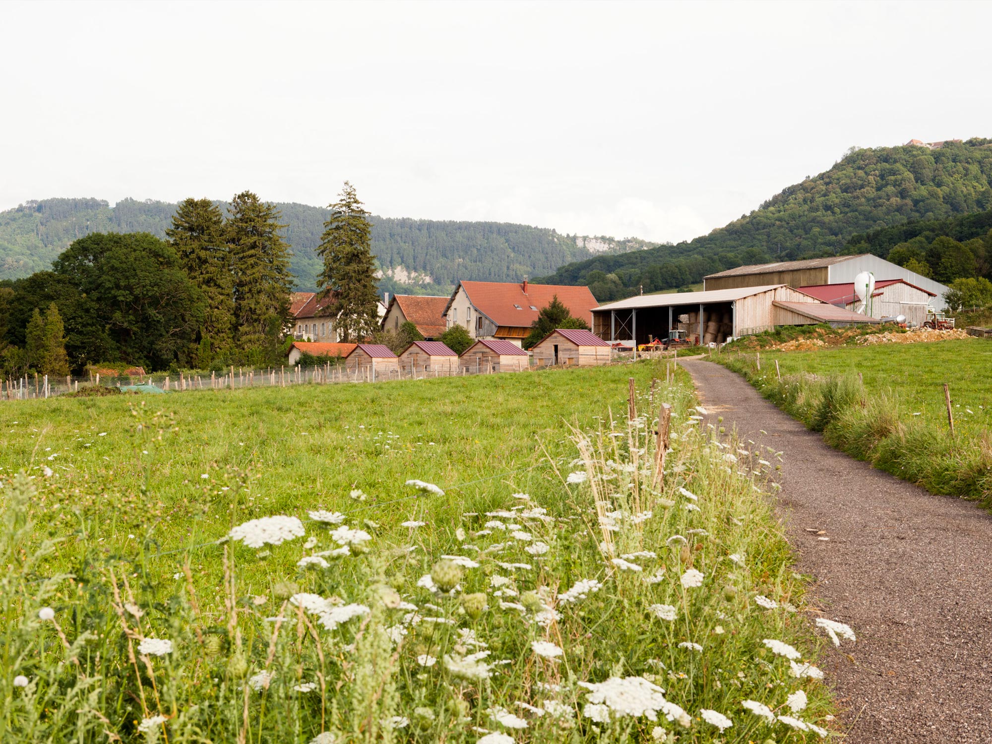 FERME - LA FERME DES MELINCOLS_1