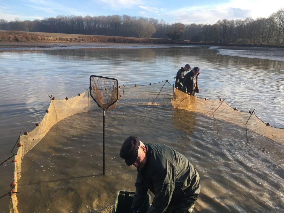 Etang Pisciculture2