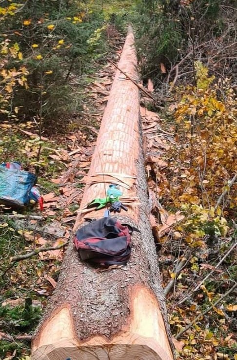 IMG-20231102-WA0008