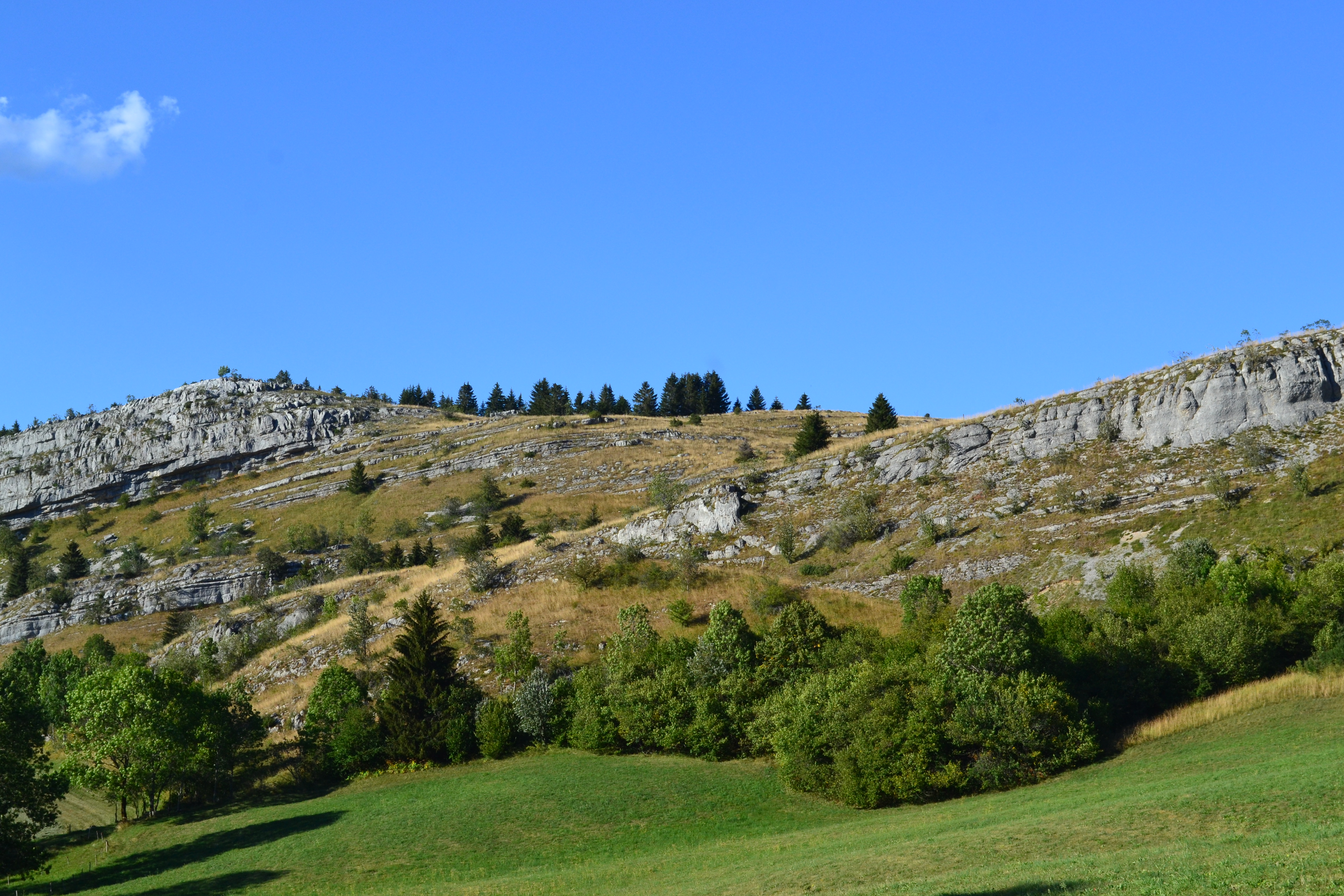 LA_CROCHERE_MAI_©CAMILLE_NUBLAT (3)