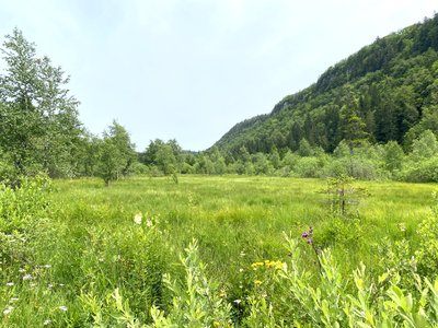 tourbieres_entrecotes_foncinelehaut_ete_2023_©CCCNJ (18)