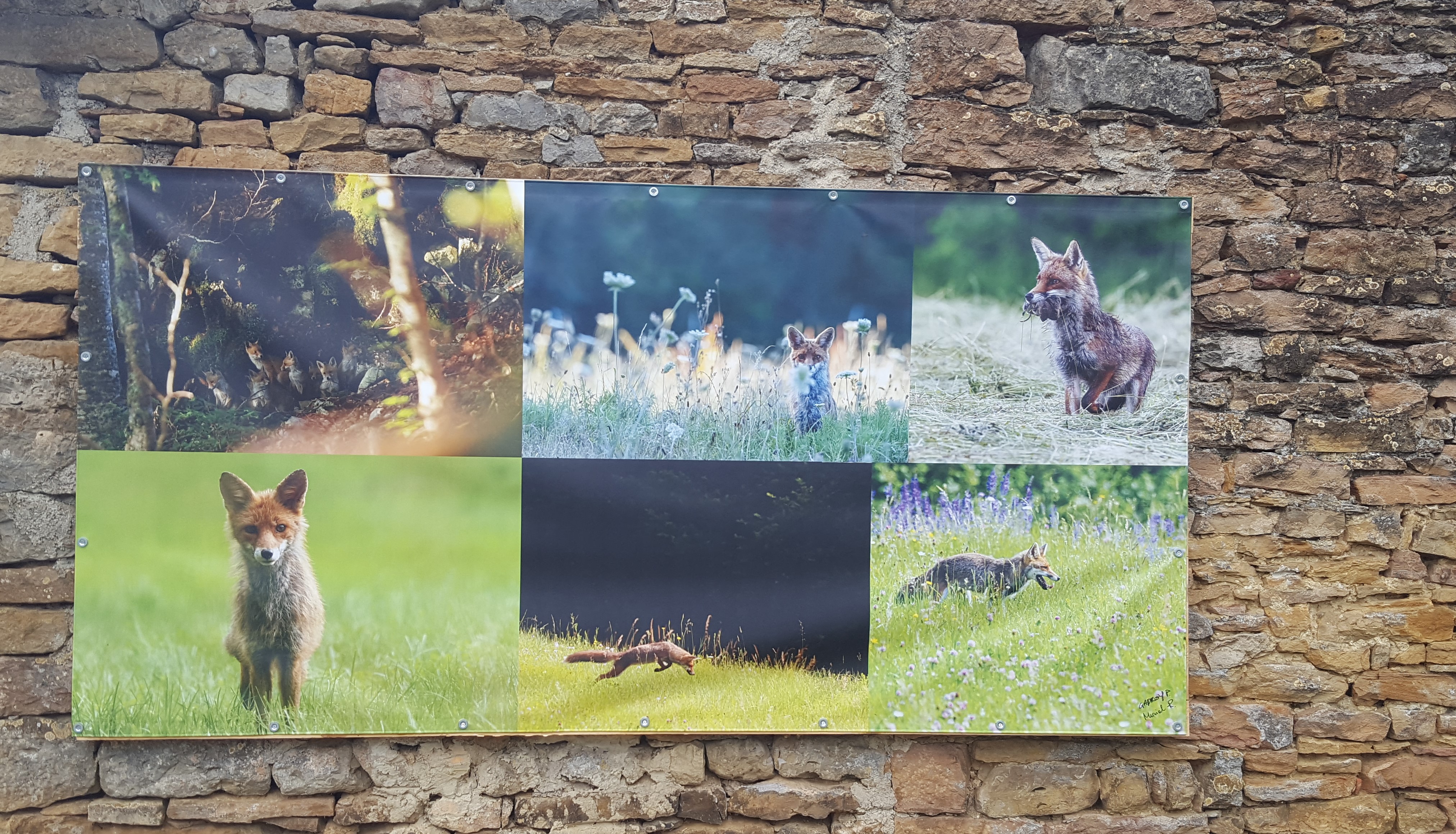 Expo Photo Nature Digna