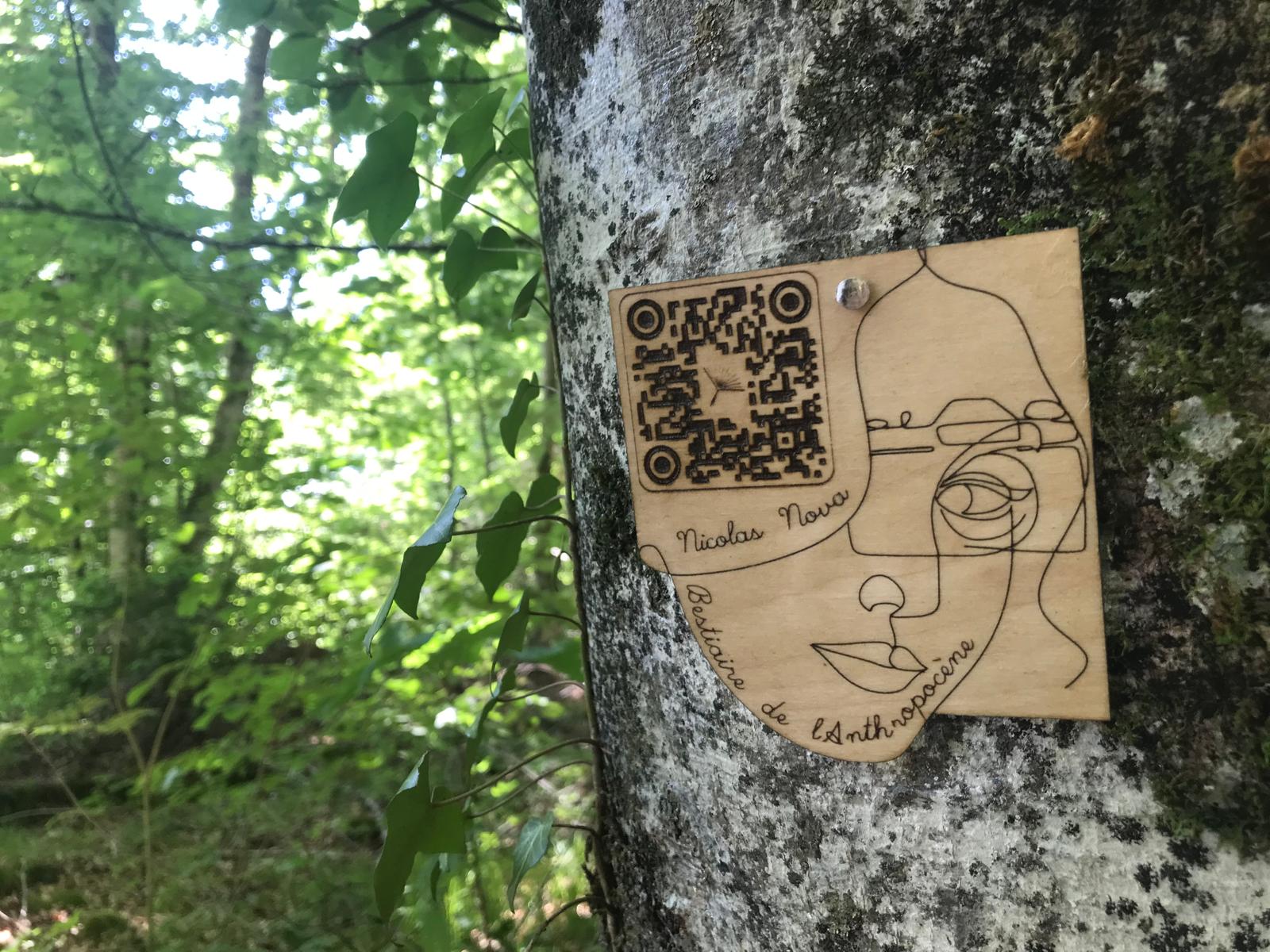 PHOTO signet sur arbre