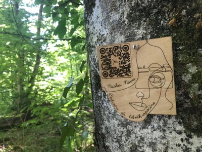 PHOTO signet sur arbre