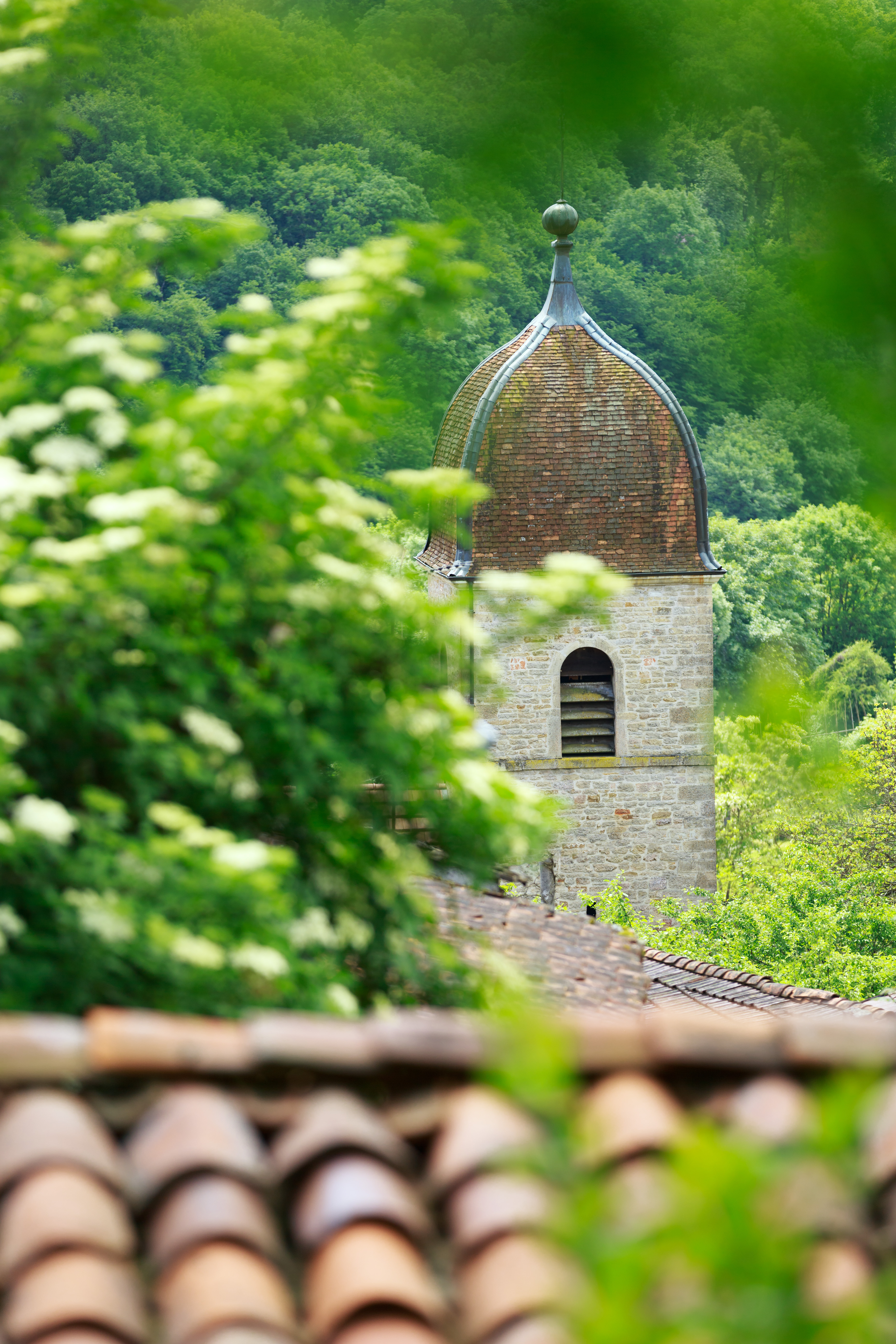 Montagna-le-Reconduit