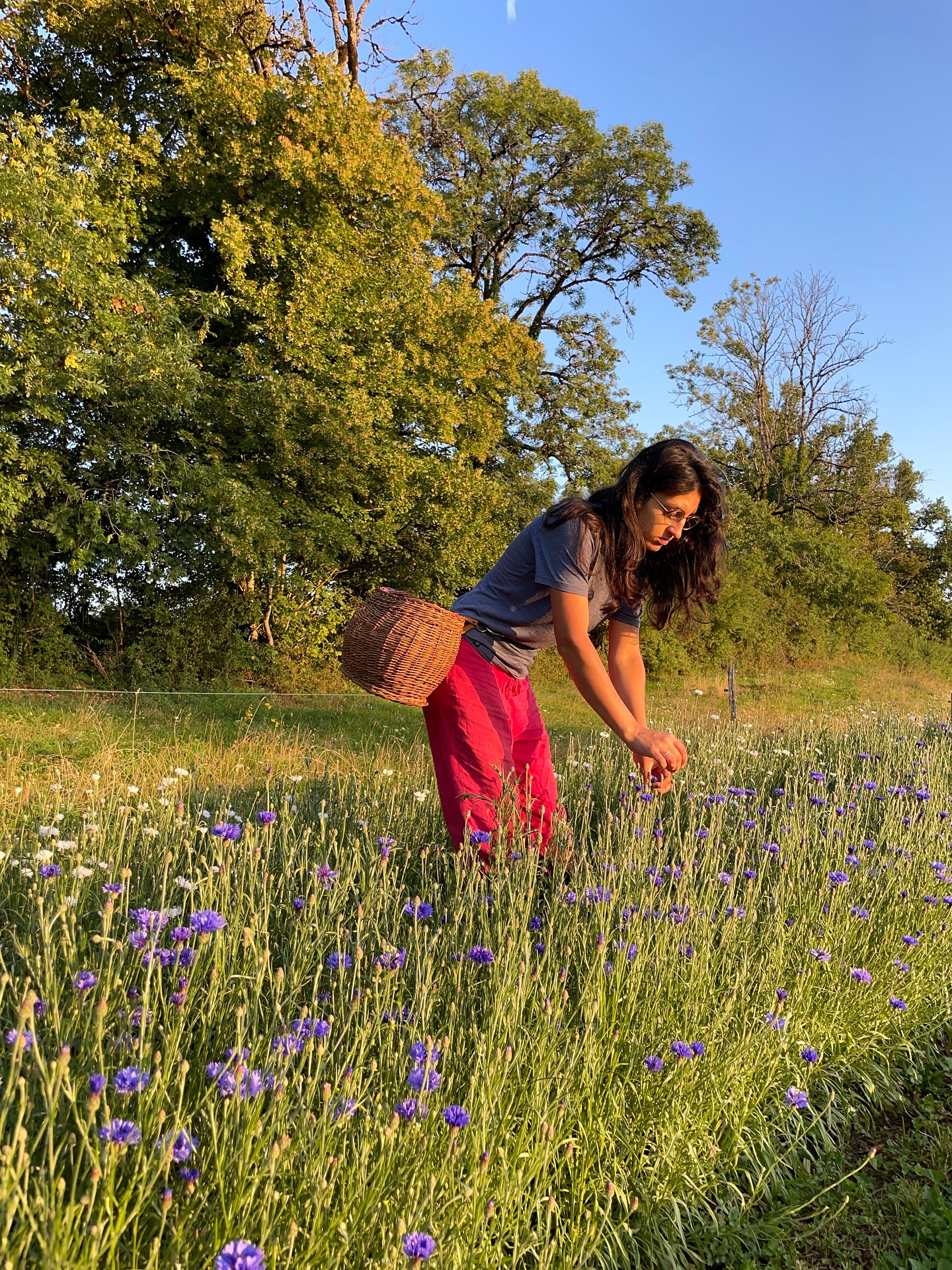 Terre de Garance