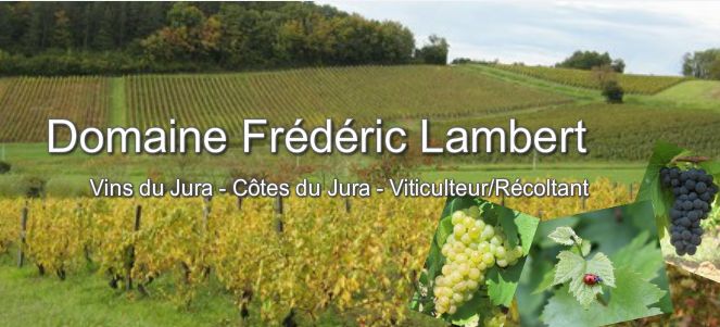DOMAINE FRÉDÉRIC LAMBERT_1