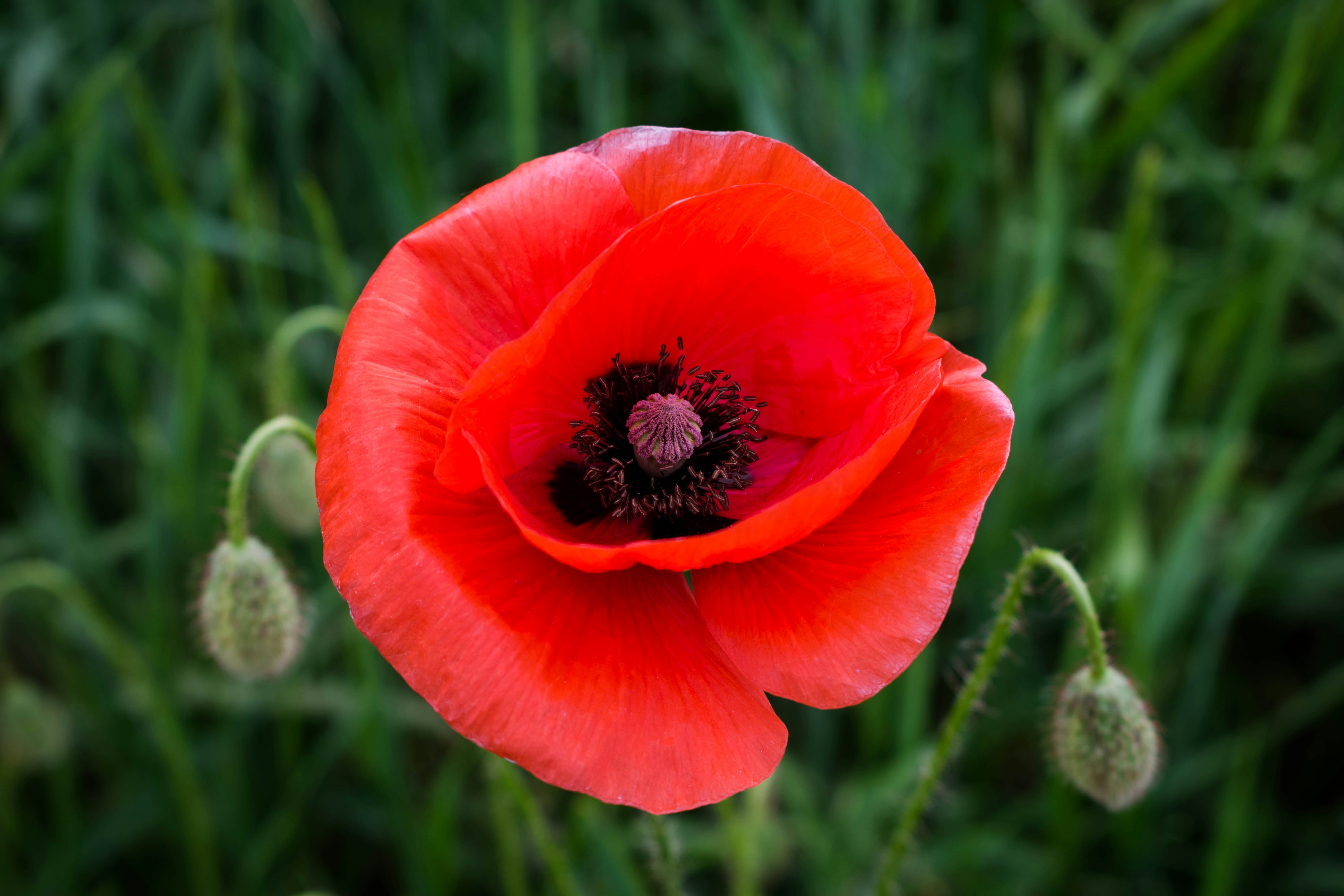 victoria-tronina-L0RqBLzQq2c-unsplash