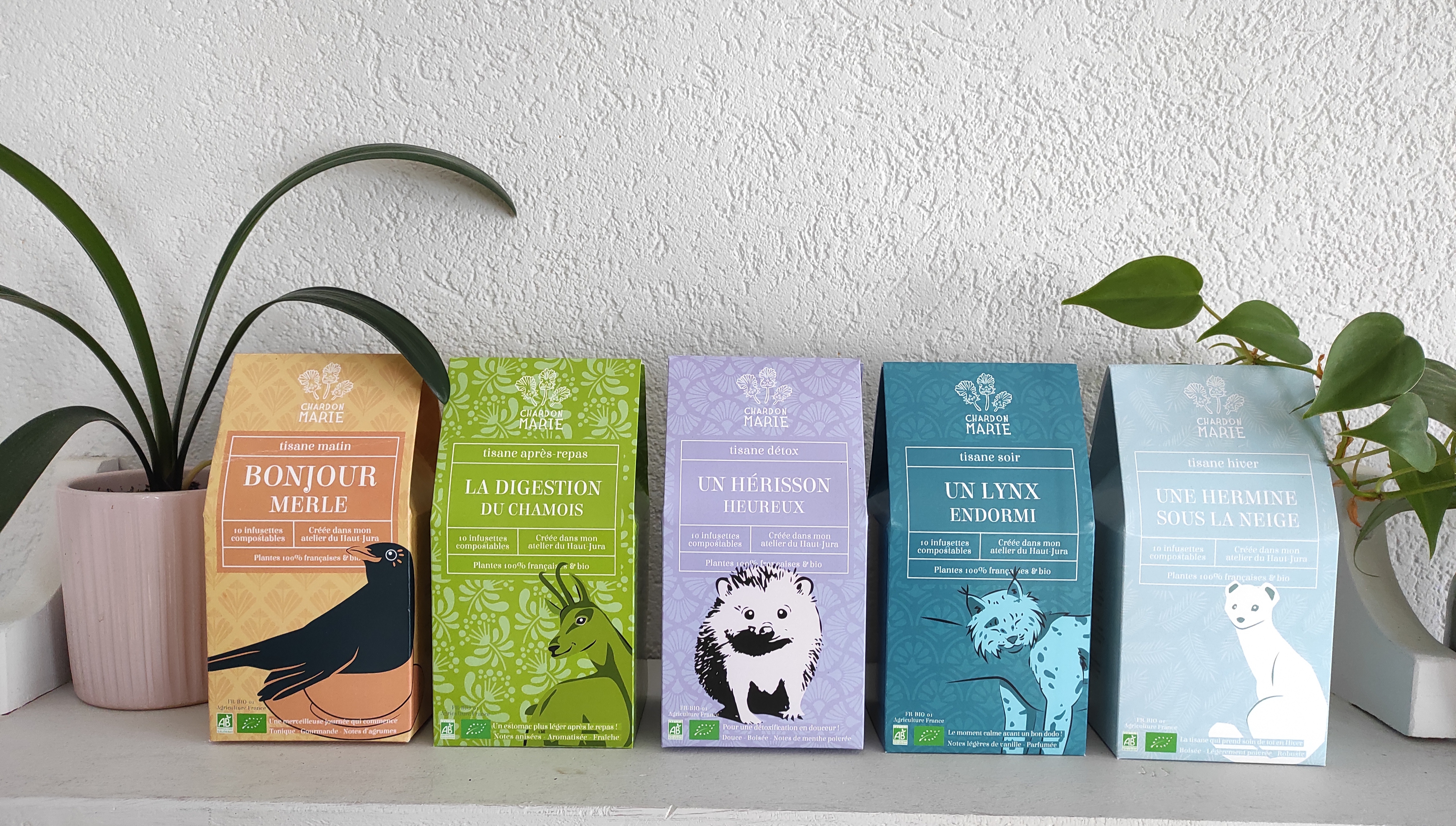 la jolie gamme d'infusettes