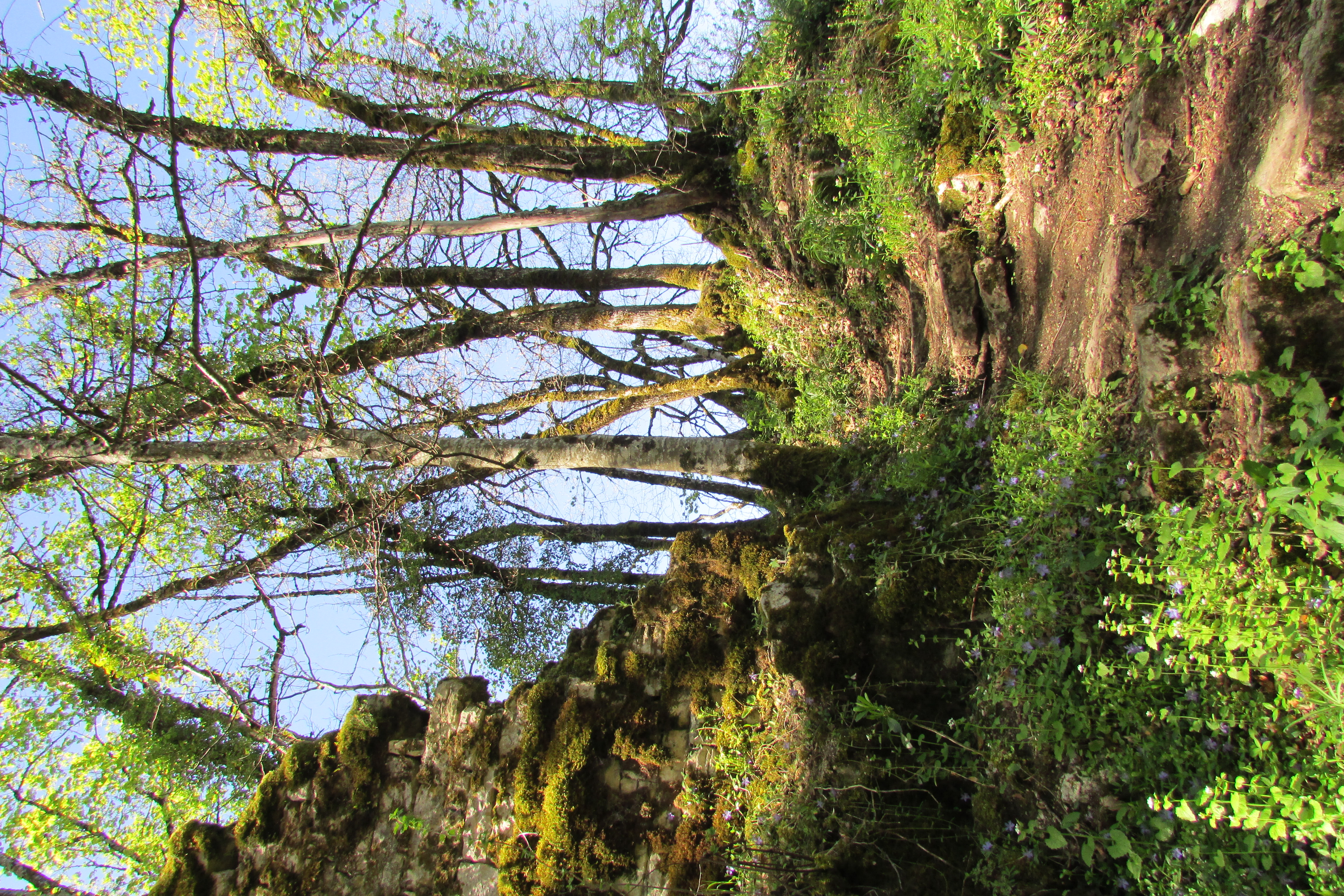@Jodie - La Châtelaine(été)