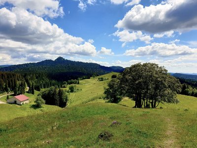 CRET_NERBIER_ETE_©HJSC (3)