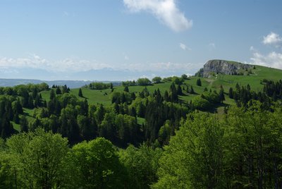 Crête du Mont d'Or