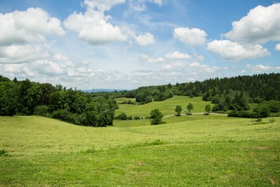 Vue des Jeannez sur les forêts du Grandvaux