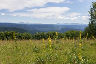 Point de vue de Sur la Côte