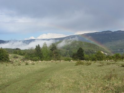 Point de vue