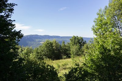 Point de vue de la Bataille