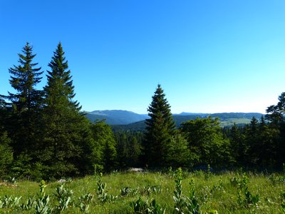 Vue du crêt de la Vigoureuse