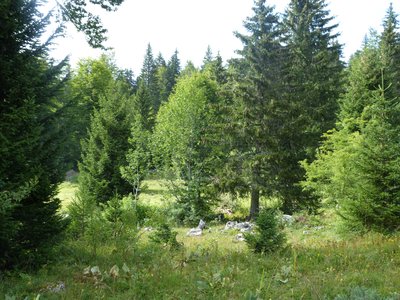 Le crû est à croître