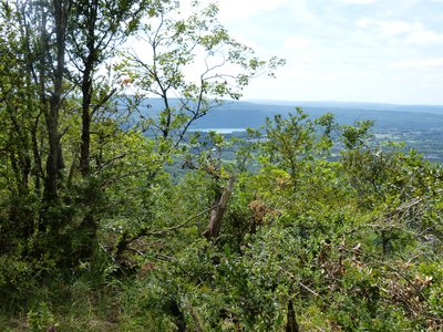 Point de vue sur le lac de Vouglans