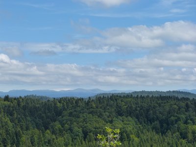 Point de vue sur la Haute-Chaîne