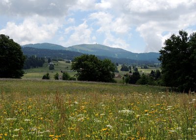 Vue sur la Dôle