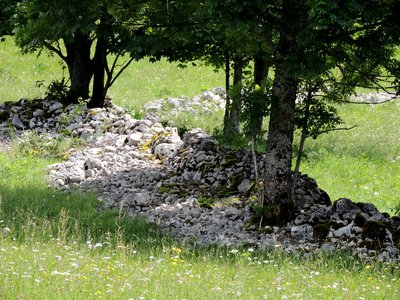 Petit muret délimitant une parcelle