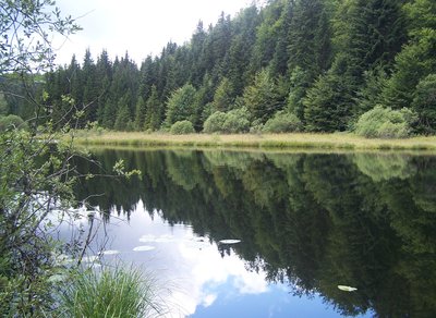 Lac de la Fauge