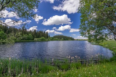 Tourbières Frasne Etang du Moulin