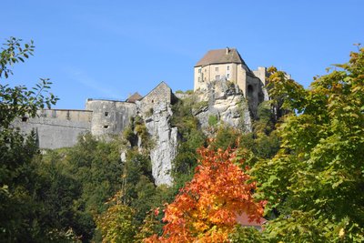 Château de Joux