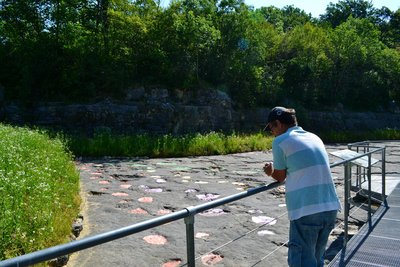 Traces de dinosaure à Loulle