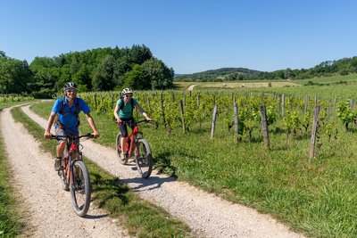 VTTAE (VTT électrique) sur le Zed Jurassien