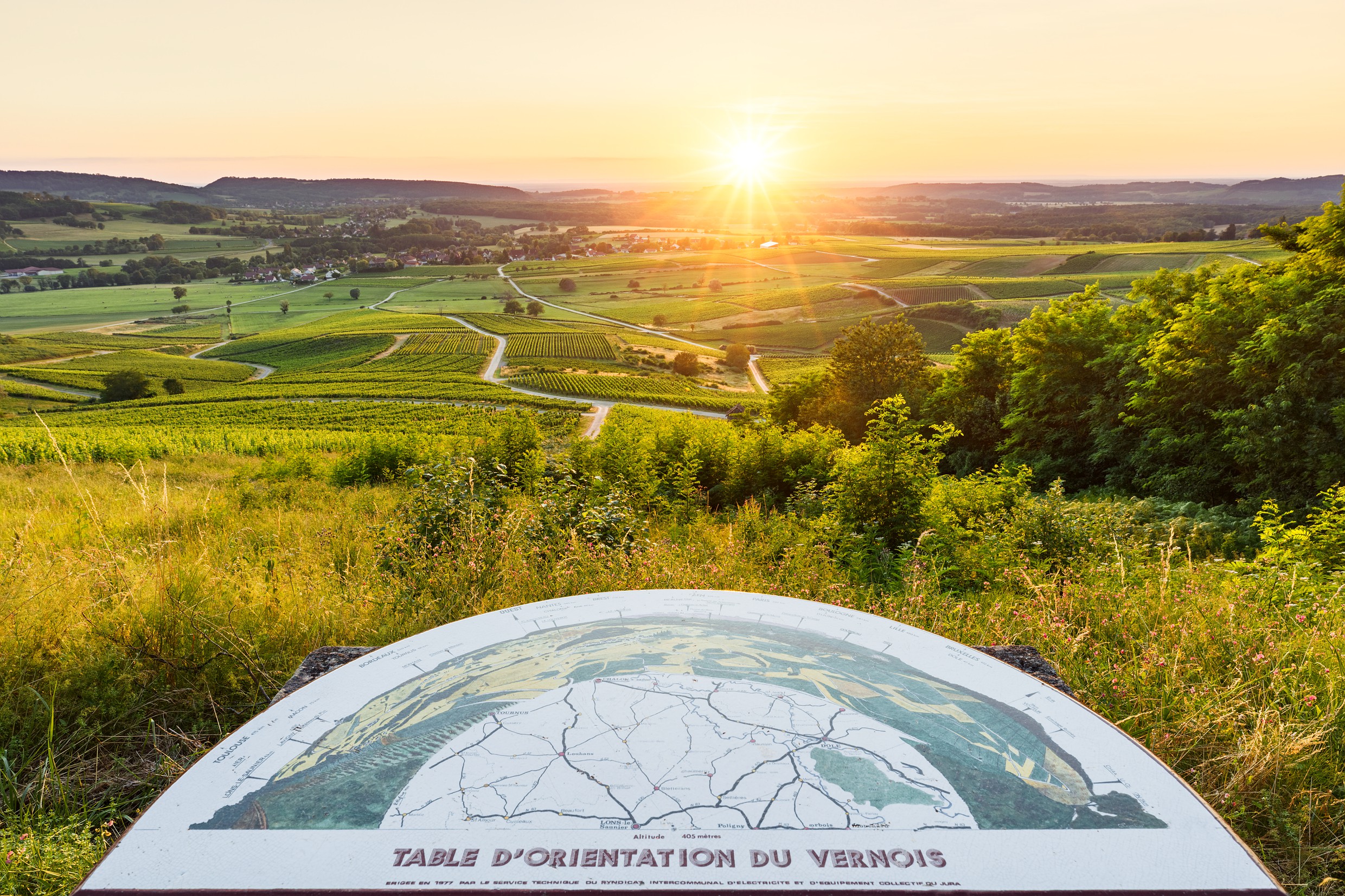 Vignes du Vernois - table d'orientation