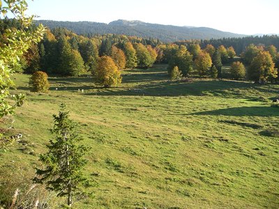 Combe de Lajoux