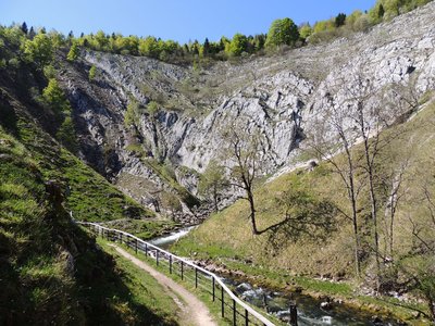 Le ruz de la source de la Saine