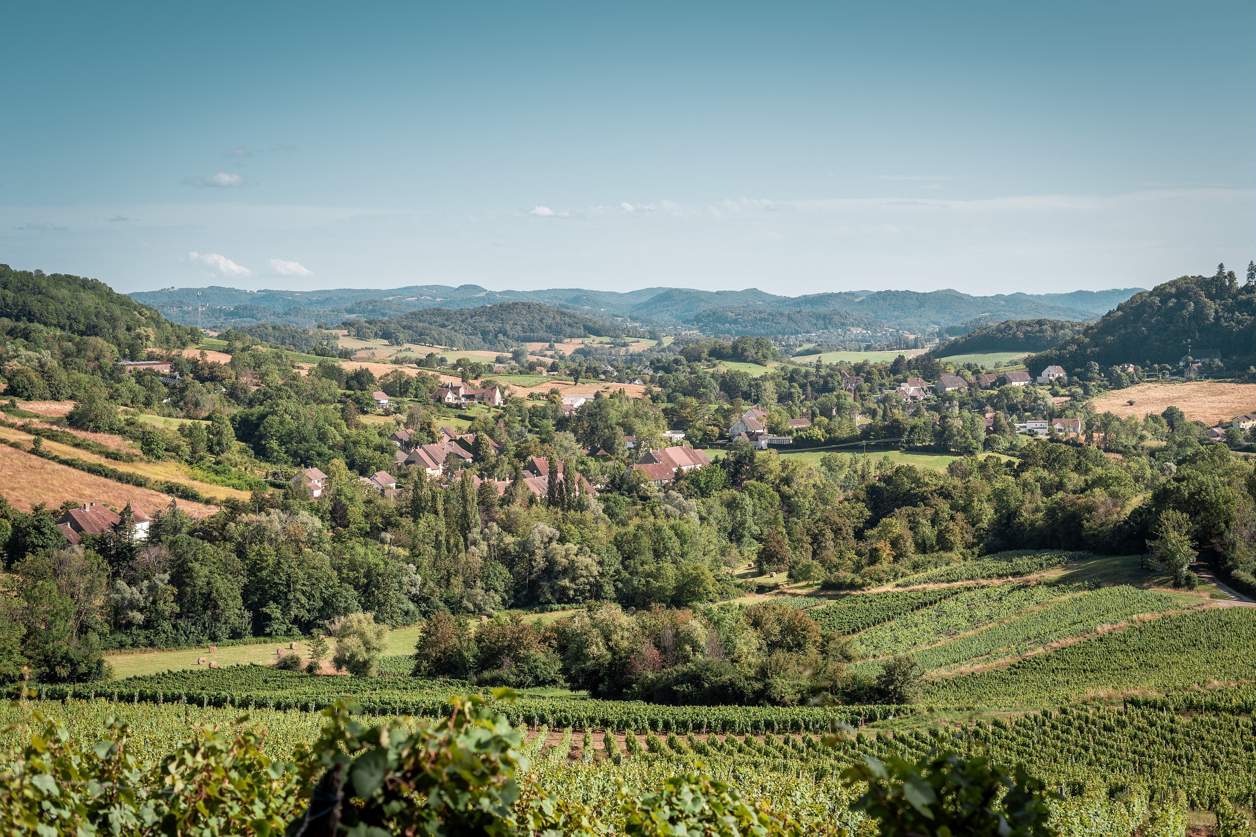 Vignes de l'Etoile